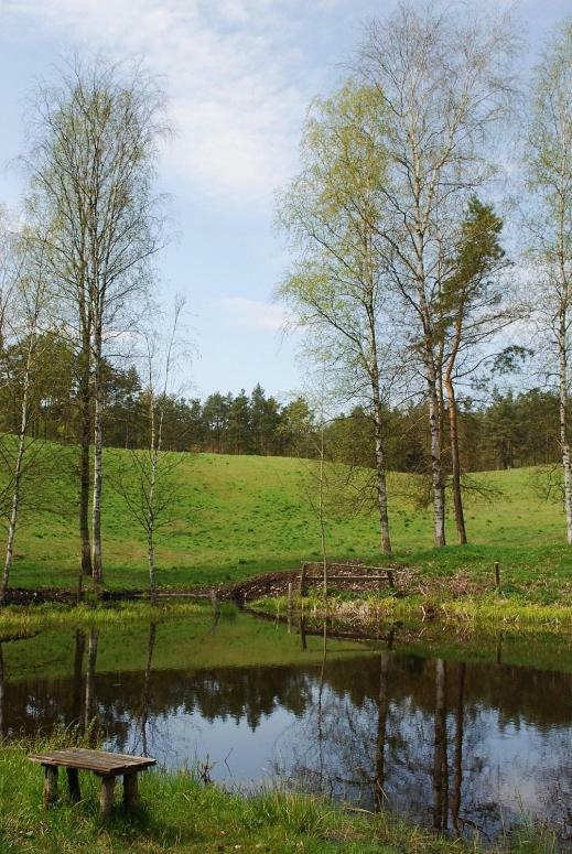 Vila Pod Kogutkiem Kruklanki Exteriér fotografie